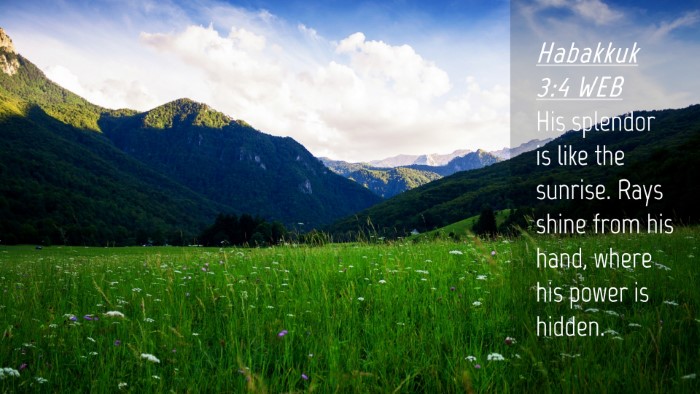 Picture 04 - Habakkuk 3:4 WEB Desktop Wallpaper - His splendor is like the sunrise. Rays shine from - Desktop Bible Verse Wallpaper