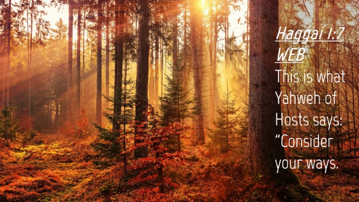 Picture 04 - Haggai 1:7 WEB Desktop Wallpaper - This is what Yahweh of Hosts says: 
