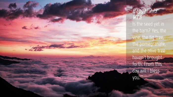 Picture 04 - Haggai 2:19 WEB Desktop Wallpaper - Is the seed yet in the barn? Yes, the vine, the - Desktop Bible Verse Wallpaper