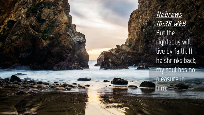 Picture 04 - Hebrews 10:38 WEB Desktop Wallpaper - But the righteous will live by faith. If he - Desktop Bible Verse Wallpaper
