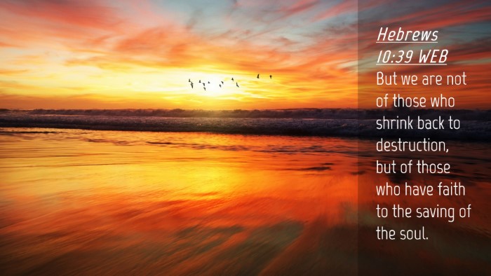 Picture 04 - Hebrews 10:39 WEB Desktop Wallpaper - But we are not of those who shrink back to - Desktop Bible Verse Wallpaper