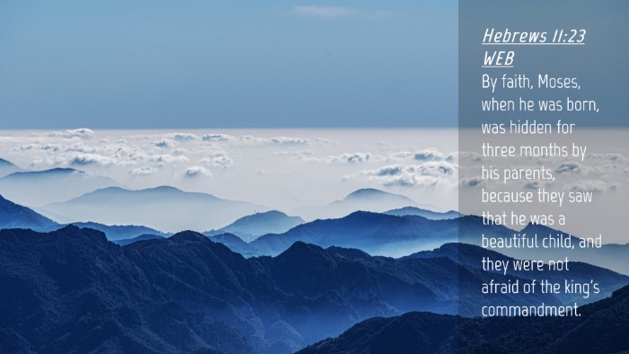 Picture 04 - Hebrews 11:23 WEB Desktop Wallpaper - By faith, Moses, when he was born, was hidden for - Desktop Bible Verse Wallpaper