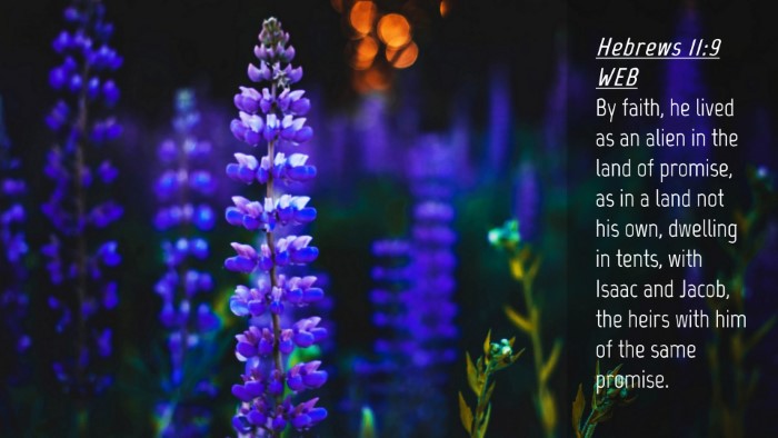 Picture 04 - Hebrews 11:9 WEB Desktop Wallpaper - By faith, he lived as an alien in the land of - Desktop Bible Verse Wallpaper