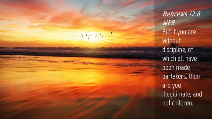 Picture 04 - Hebrews 12:8 WEB Desktop Wallpaper - But if you are without discipline, of which all - Desktop Bible Verse Wallpaper