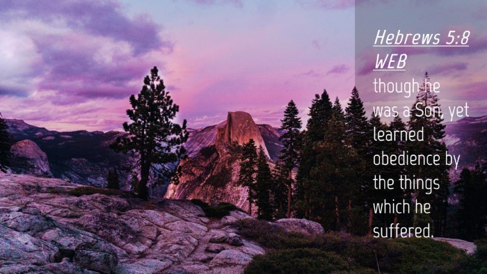 Picture 04 - Hebrews 5:8 WEB Desktop Wallpaper - though he was a Son, yet learned obedience by the - Desktop Bible Verse Wallpaper