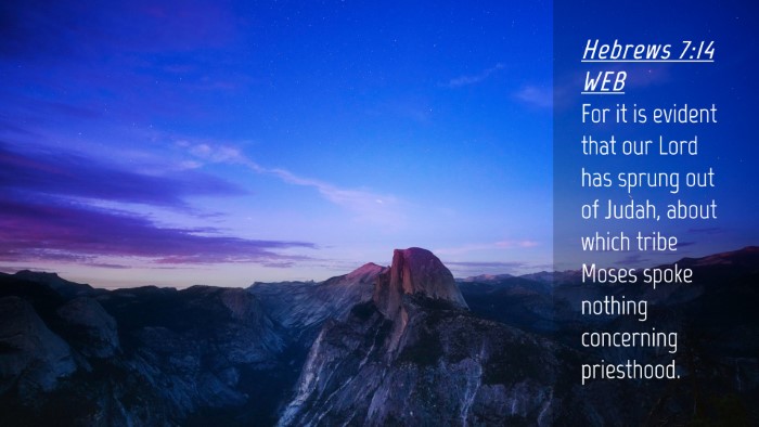 Picture 04 - Hebrews 7:14 WEB Desktop Wallpaper - For it is evident that our Lord has sprung out of - Desktop Bible Verse Wallpaper