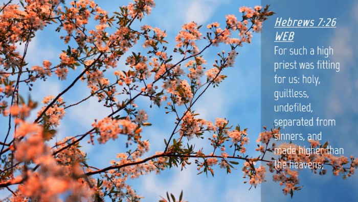 Picture 04 - Hebrews 7:26 WEB Desktop Wallpaper - For such a high priest was fitting for us: holy, - Desktop Bible Verse Wallpaper