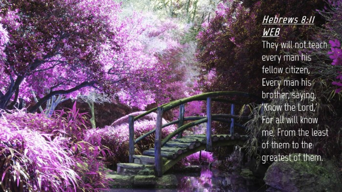 Picture 04 - Hebrews 8:11 WEB Desktop Wallpaper - They will not teach every man his fellow citizen, - Desktop Bible Verse Wallpaper