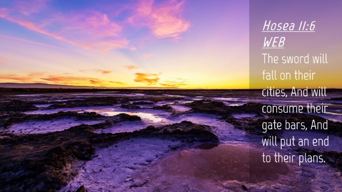 Picture 04 - Hosea 11:6 WEB Desktop Wallpaper - The sword will fall on their cities, And will - Desktop Bible Verse Wallpaper