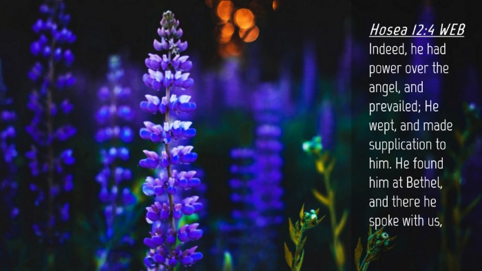 Picture 04 - Hosea 12:4 WEB Desktop Wallpaper - Indeed, he had power over the angel, and - Desktop Bible Verse Wallpaper