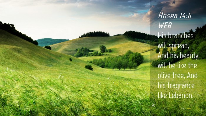 Picture 04 - Hosea 14:6 WEB Desktop Wallpaper - His branches will spread, And his beauty will be - Desktop Bible Verse Wallpaper