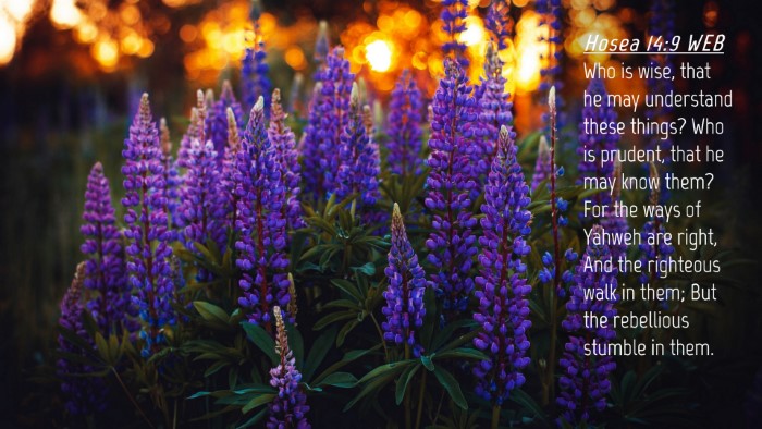 Picture 04 - Hosea 14:9 WEB Desktop Wallpaper - Who is wise, that he may understand these things? - Desktop Bible Verse Wallpaper