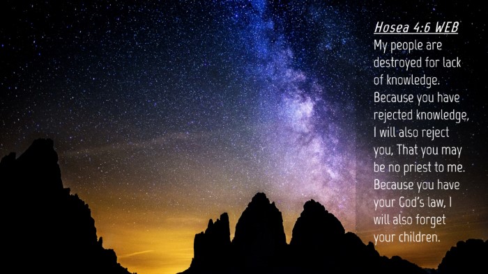 Picture 04 - Hosea 4:6 WEB Desktop Wallpaper - My people are destroyed for lack of knowledge. - Desktop Bible Verse Wallpaper