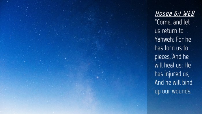 Picture 04 - Hosea 6:1 WEB Desktop Wallpaper - 