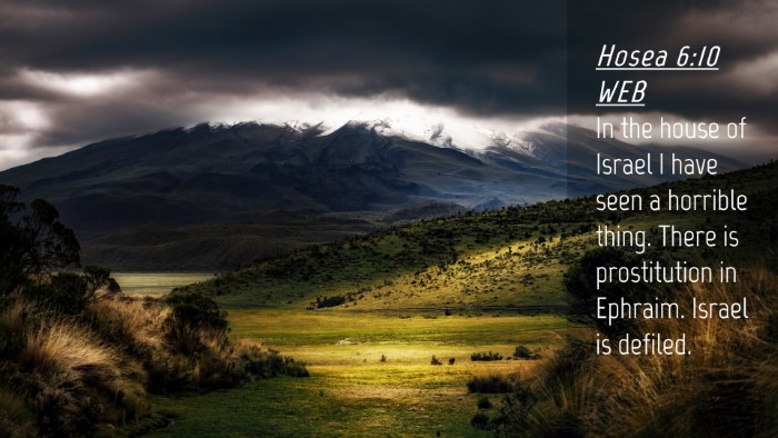 Picture 04 - Hosea 6:10 WEB Desktop Wallpaper - In the house of Israel I have seen a horrible - Desktop Bible Verse Wallpaper