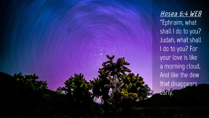 Picture 04 - Hosea 6:4 WEB Desktop Wallpaper - 