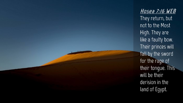 Picture 04 - Hosea 7:16 WEB Desktop Wallpaper - They return, but not to the Most High. They are - Desktop Bible Verse Wallpaper