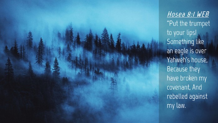 Picture 04 - Hosea 8:1 WEB Desktop Wallpaper - 