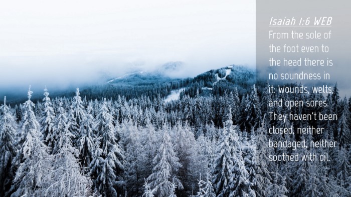 Picture 04 - Isaiah 1:6 WEB Desktop Wallpaper - From the sole of the foot even to the head there - Desktop Bible Verse Wallpaper
