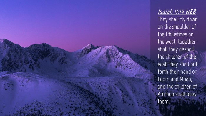 Picture 04 - Isaiah 11:14 WEB Desktop Wallpaper - They shall fly down on the shoulder of the - Desktop Bible Verse Wallpaper