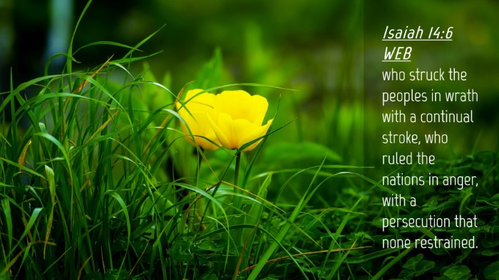 Picture 04 - Isaiah 14:6 WEB Desktop Wallpaper - who struck the peoples in wrath with a continual - Desktop Bible Verse Wallpaper