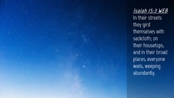 Picture 04 - Isaiah 15:3 WEB Desktop Wallpaper - In their streets they gird themselves with - Desktop Bible Verse Wallpaper