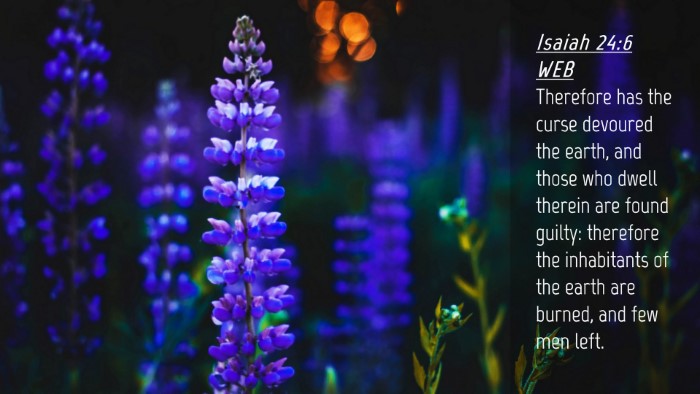 Picture 04 - Isaiah 24:6 WEB Desktop Wallpaper - Therefore has the curse devoured the earth, and - Desktop Bible Verse Wallpaper