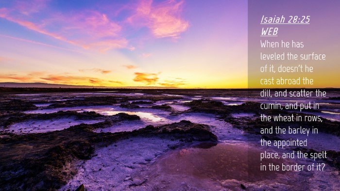Picture 04 - Isaiah 28:25 WEB Desktop Wallpaper - When he has leveled the surface of it, doesn't he - Desktop Bible Verse Wallpaper