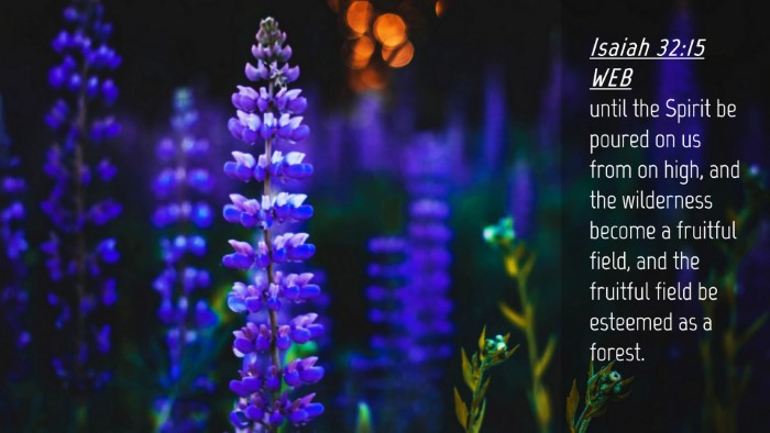 Picture 04 - Isaiah 32:15 WEB Desktop Wallpaper - until the Spirit be poured on us from on high, - Desktop Bible Verse Wallpaper