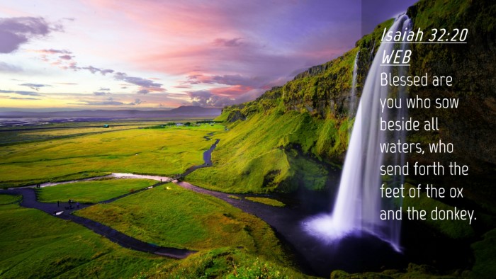 Picture 04 - Isaiah 32:20 WEB Desktop Wallpaper - Blessed are you who sow beside all waters, who - Desktop Bible Verse Wallpaper