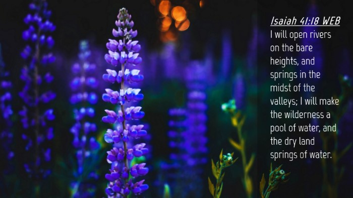 Picture 04 - Isaiah 41:18 WEB Desktop Wallpaper - I will open rivers on the bare heights, and - Desktop Bible Verse Wallpaper