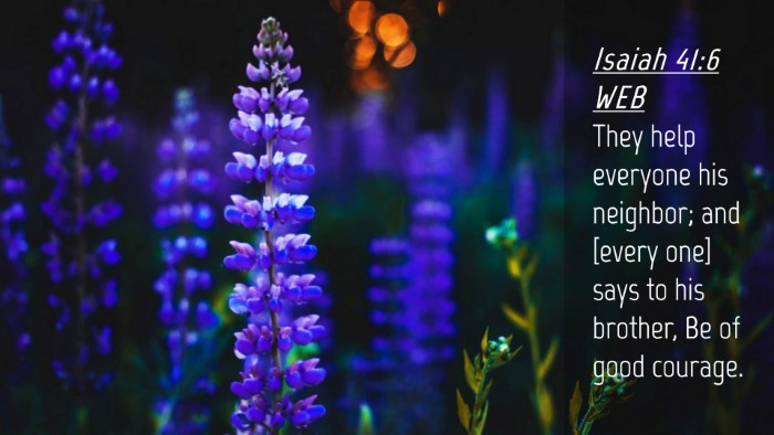 Picture 04 - Isaiah 41:6 WEB Desktop Wallpaper - They help everyone his neighbor; and [every one] - Desktop Bible Verse Wallpaper