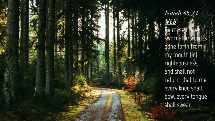 Picture 04 - Isaiah 45:23 WEB Desktop Wallpaper - By myself have I sworn, the word is gone forth - Desktop Bible Verse Wallpaper