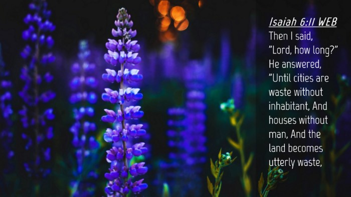 Picture 04 - Isaiah 6:11 WEB Desktop Wallpaper - Then I said, 