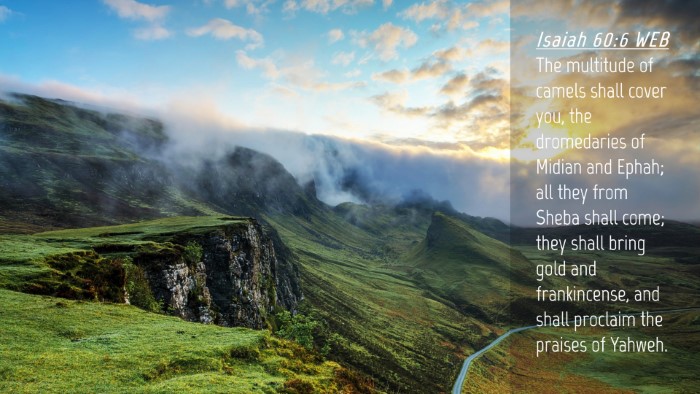 Picture 04 - Isaiah 60:6 WEB Desktop Wallpaper - The multitude of camels shall cover you, the - Desktop Bible Verse Wallpaper