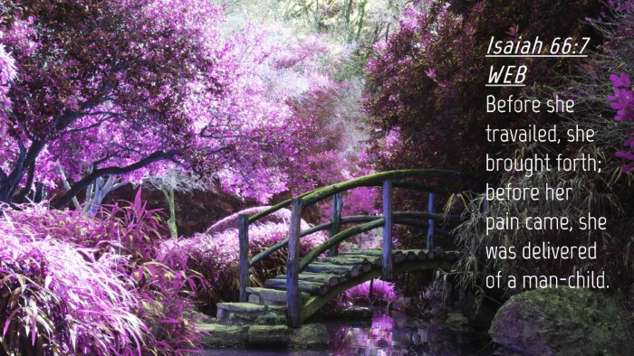 Picture 04 - Isaiah 66:7 WEB Desktop Wallpaper - Before she travailed, she brought forth; before - Desktop Bible Verse Wallpaper