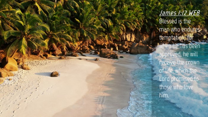 Picture 04 - James 1:12 WEB Desktop Wallpaper - Blessed is the man who endures temptation, for - Desktop Bible Verse Wallpaper