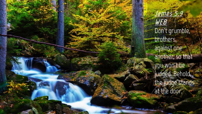 Picture 04 - James 5:9 WEB Desktop Wallpaper - Don't grumble, brothers, against one another, so - Desktop Bible Verse Wallpaper