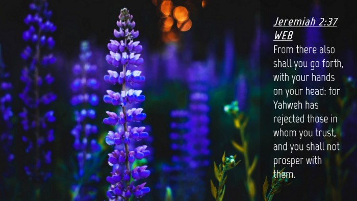 Picture 04 - Jeremiah 2:37 WEB Desktop Wallpaper - From there also shall you go forth, with your - Desktop Bible Verse Wallpaper
