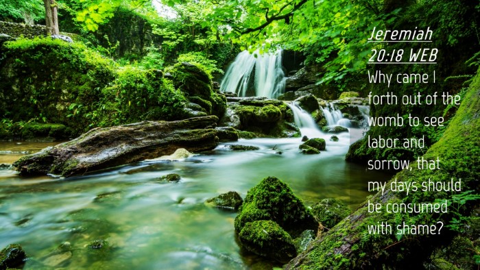 Picture 04 - Jeremiah 20:18 WEB Desktop Wallpaper - Why came I forth out of the womb to see labor and - Desktop Bible Verse Wallpaper