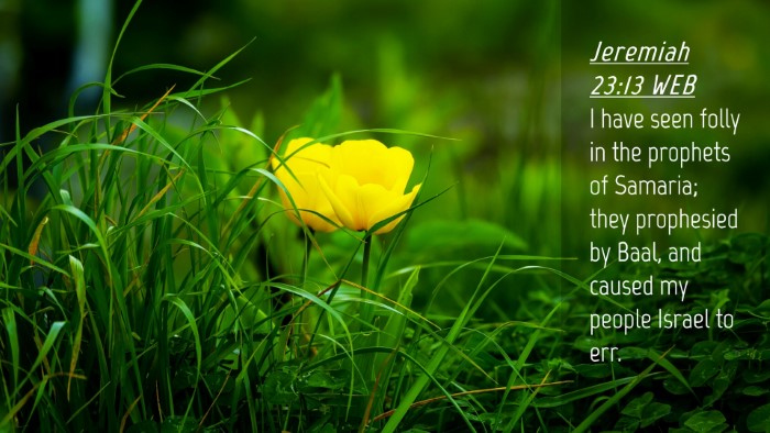 Picture 04 - Jeremiah 23:13 WEB Desktop Wallpaper - I have seen folly in the prophets of Samaria; - Desktop Bible Verse Wallpaper