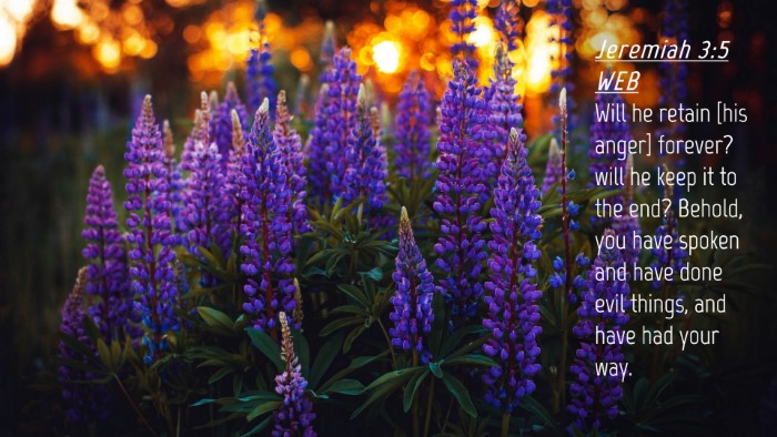 Picture 04 - Jeremiah 3:5 WEB Desktop Wallpaper - Will he retain [his anger] forever? will he keep - Desktop Bible Verse Wallpaper