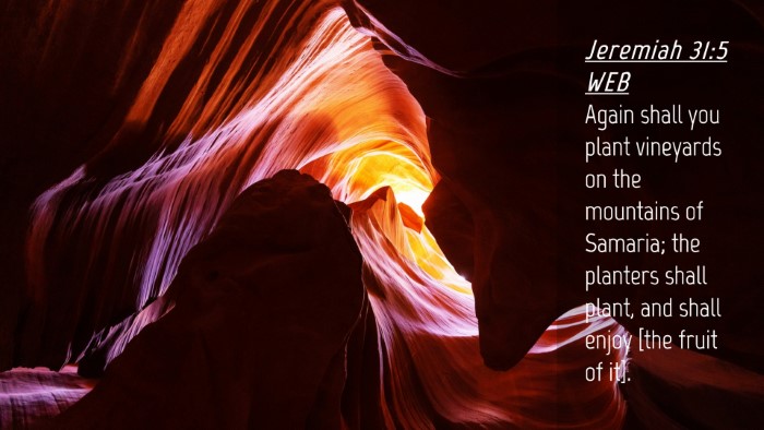 Picture 04 - Jeremiah 31:5 WEB Desktop Wallpaper - Again shall you plant vineyards on the mountains - Desktop Bible Verse Wallpaper
