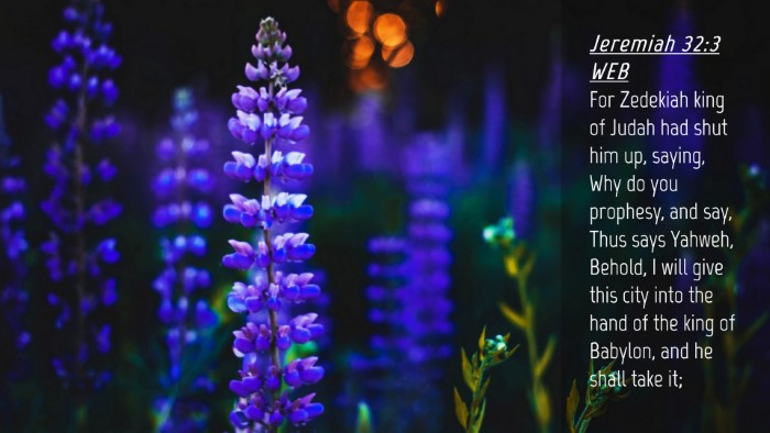 Picture 04 - Jeremiah 32:3 WEB Desktop Wallpaper - For Zedekiah king of Judah had shut him up, - Desktop Bible Verse Wallpaper