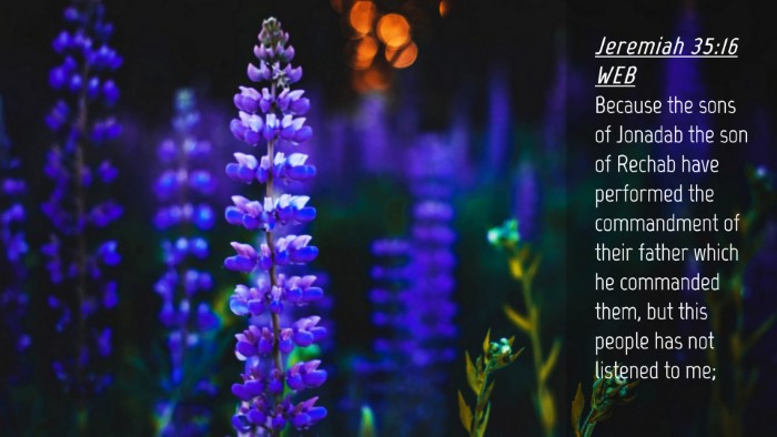 Picture 04 - Jeremiah 35:16 WEB Desktop Wallpaper - Because the sons of Jonadab the son of Rechab - Desktop Bible Verse Wallpaper