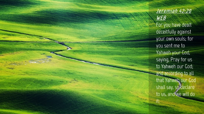 Picture 04 - Jeremiah 42:20 WEB Desktop Wallpaper - For you have dealt deceitfully against your own - Desktop Bible Verse Wallpaper