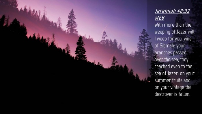 Picture 04 - Jeremiah 48:32 WEB Desktop Wallpaper - With more than the weeping of Jazer will I weep - Desktop Bible Verse Wallpaper