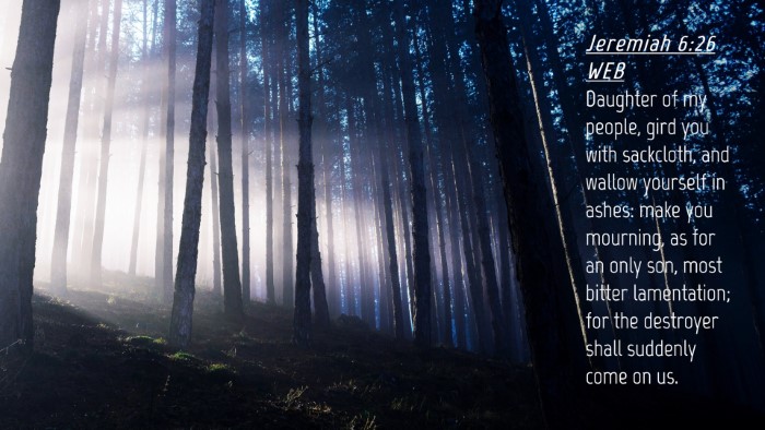 Picture 04 - Jeremiah 6:26 WEB Desktop Wallpaper - Daughter of my people, gird you with sackcloth, - Desktop Bible Verse Wallpaper