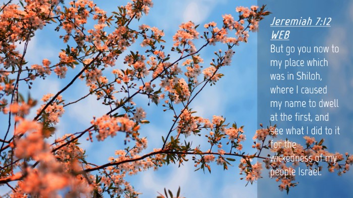 Picture 04 - Jeremiah 7:12 WEB Desktop Wallpaper - But go you now to my place which was in Shiloh, - Desktop Bible Verse Wallpaper