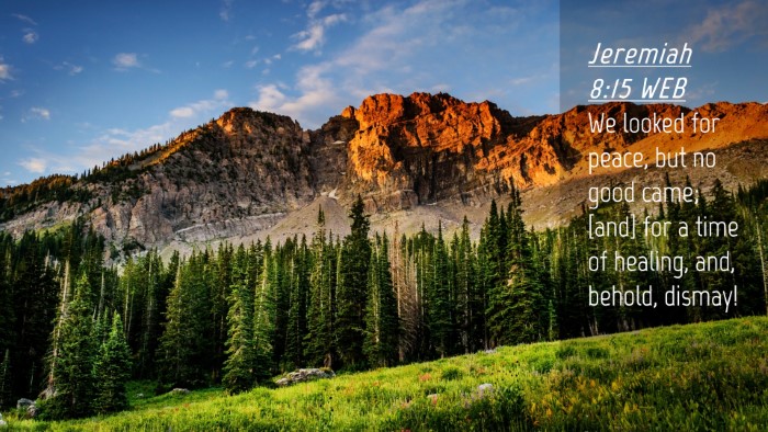 Picture 04 - Jeremiah 8:15 WEB Desktop Wallpaper - We looked for peace, but no good came; [and] for - Desktop Bible Verse Wallpaper